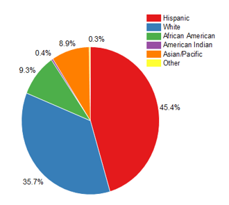 You are currently viewing Pie Chart